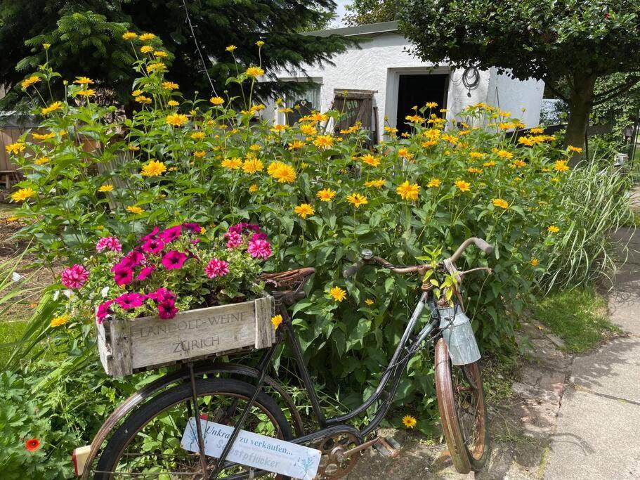 Tiny House Ostsee # Naturwerk Pruchten Exterior foto