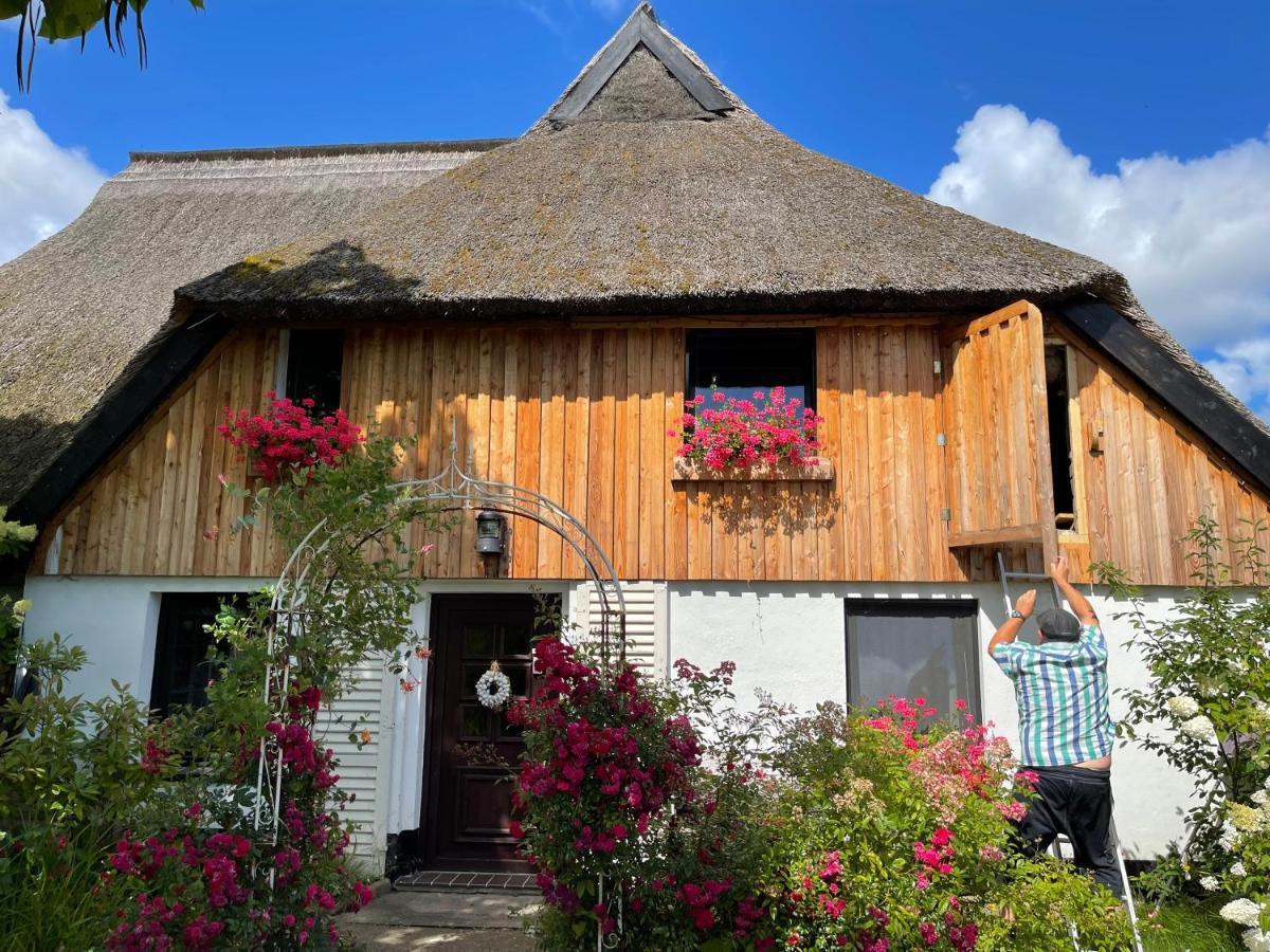Tiny House Ostsee # Naturwerk Pruchten Exterior foto