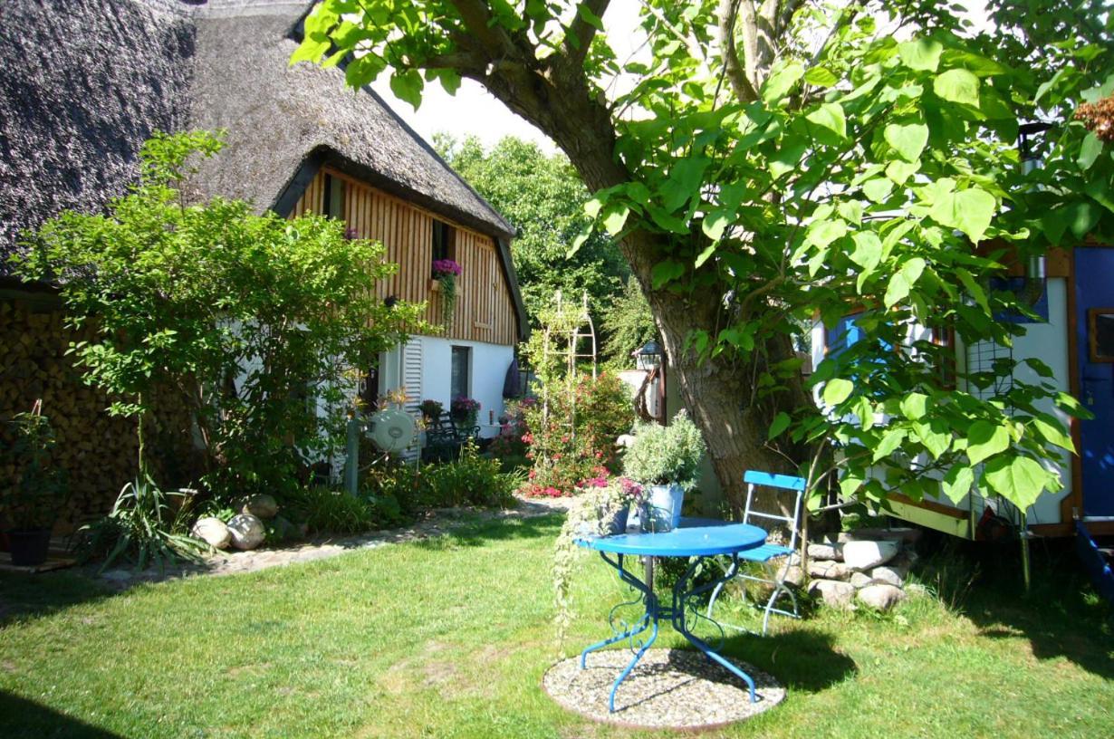 Tiny House Ostsee # Naturwerk Pruchten Exterior foto