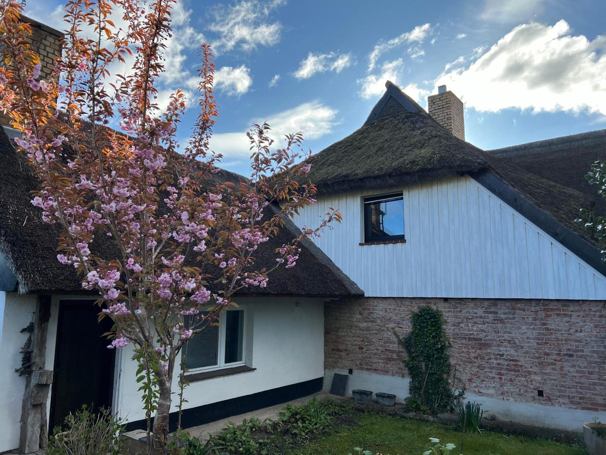 Tiny House Ostsee # Naturwerk Pruchten Exterior foto